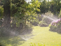 woda w ogrodzie