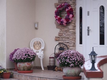 aranżacja frontowa mini